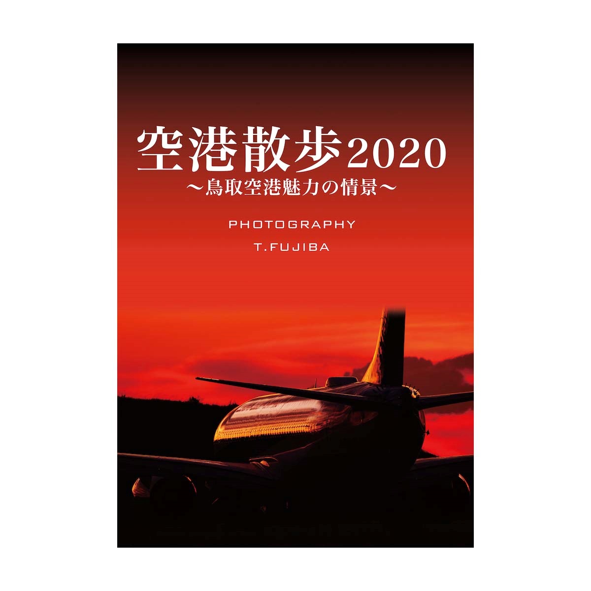 空港散歩2020～鳥取空港魅力の情景～