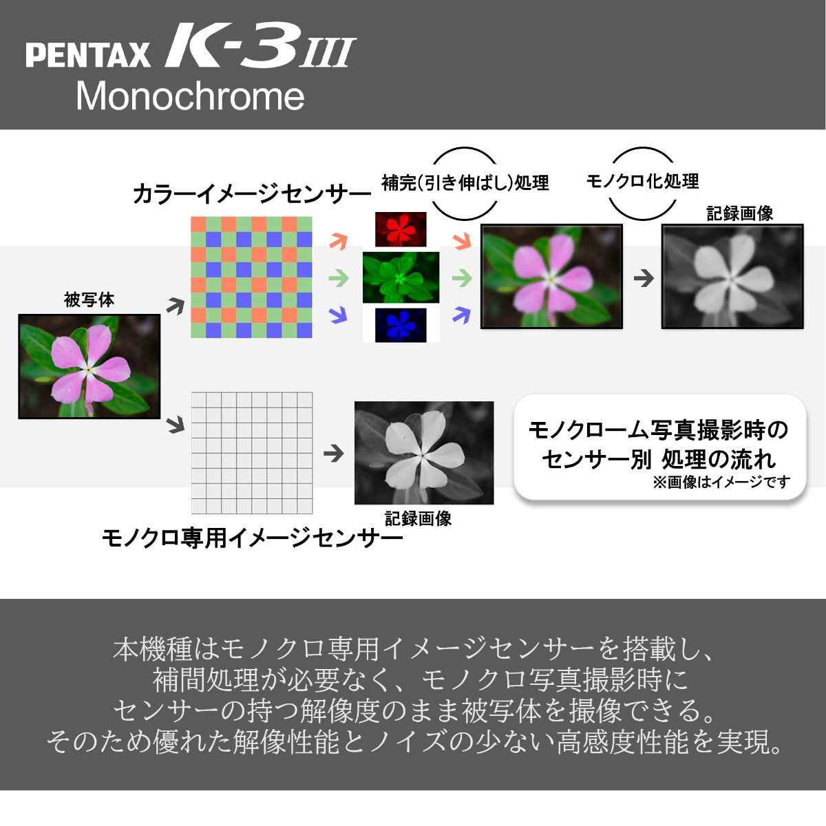 [R-cafe対象]PENTAX K-3 Mark III Monochrome  ボディキット（通常モデル）