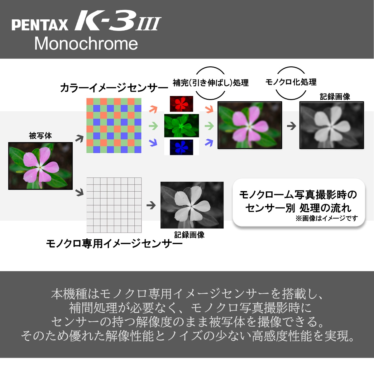 PENTAX K-3 Mark III Monochrome Matte Black Edition（直販モデル）+HD DA21/3.2Limited セット