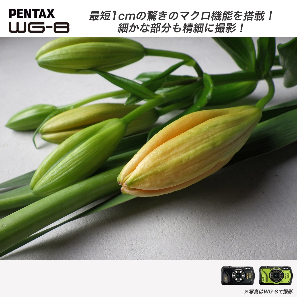 PENTAX WG-8 ブラック＋アクセサリー4点セット