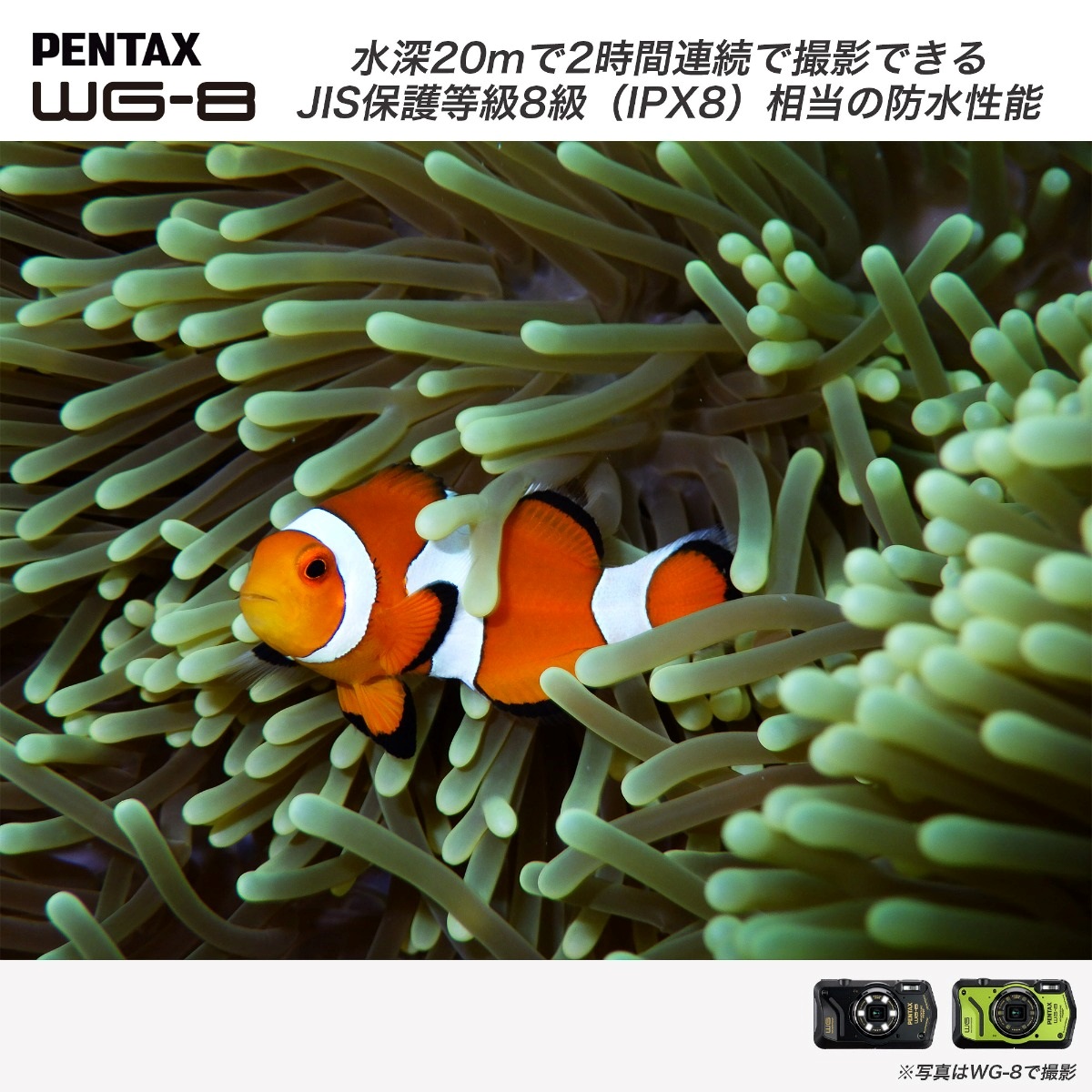 PENTAX WG-8 グリーン[直販限定]＋アクセサリー4点セット