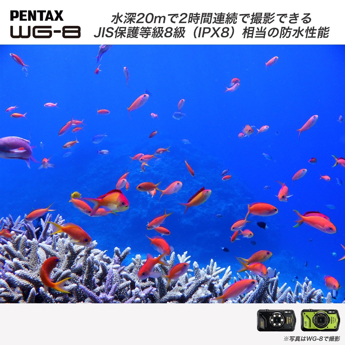 PENTAX WG-8 グリーン[直販限定]＋アクセサリー4点セット