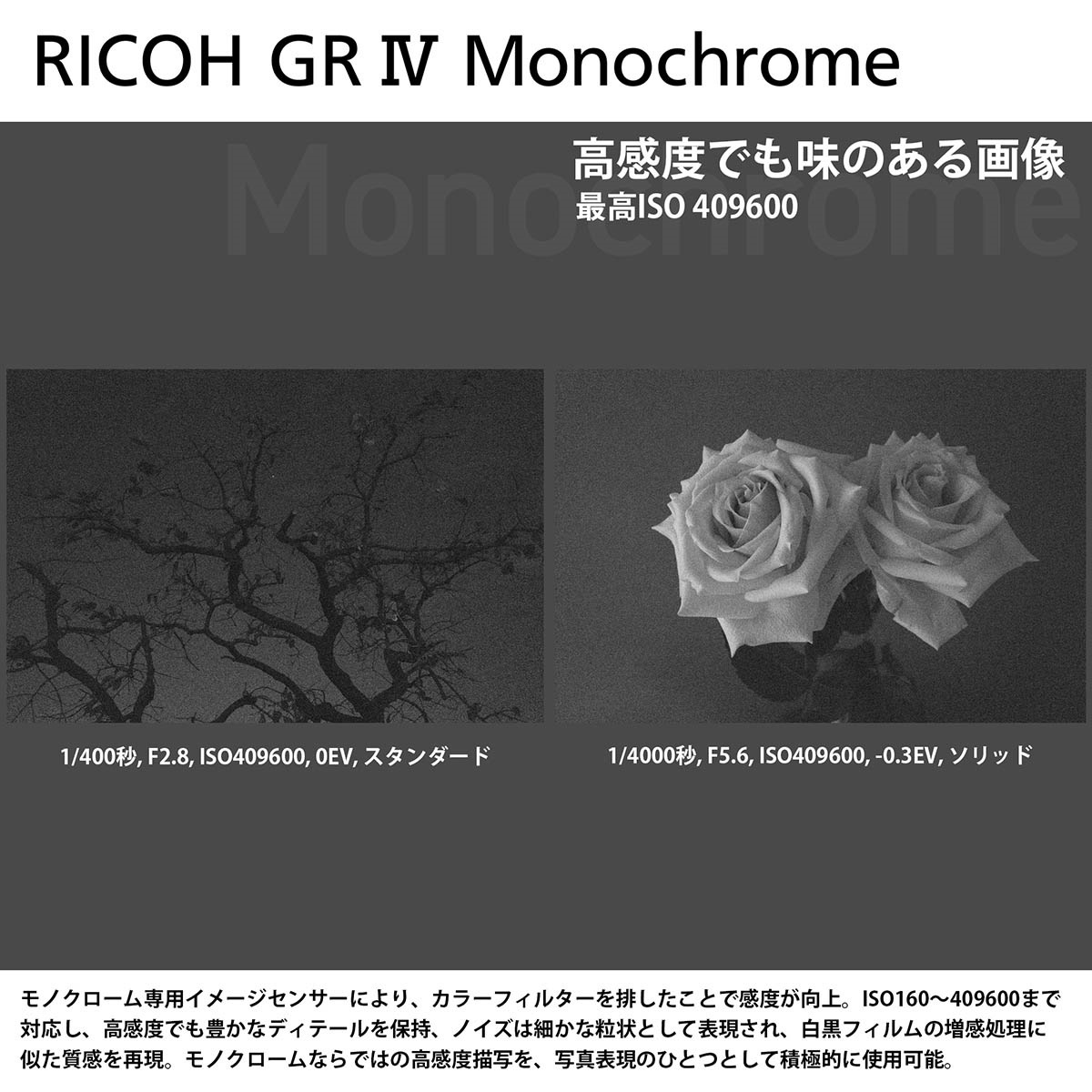 RICOH GR IV Monochrome【1年保証】