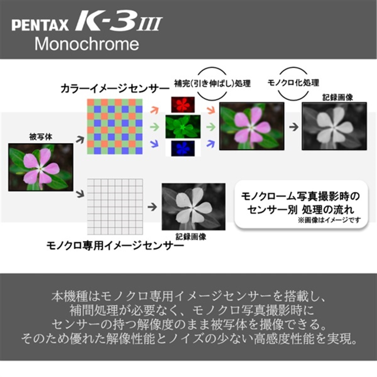 PENTAX K-1 Mark II ボディキット