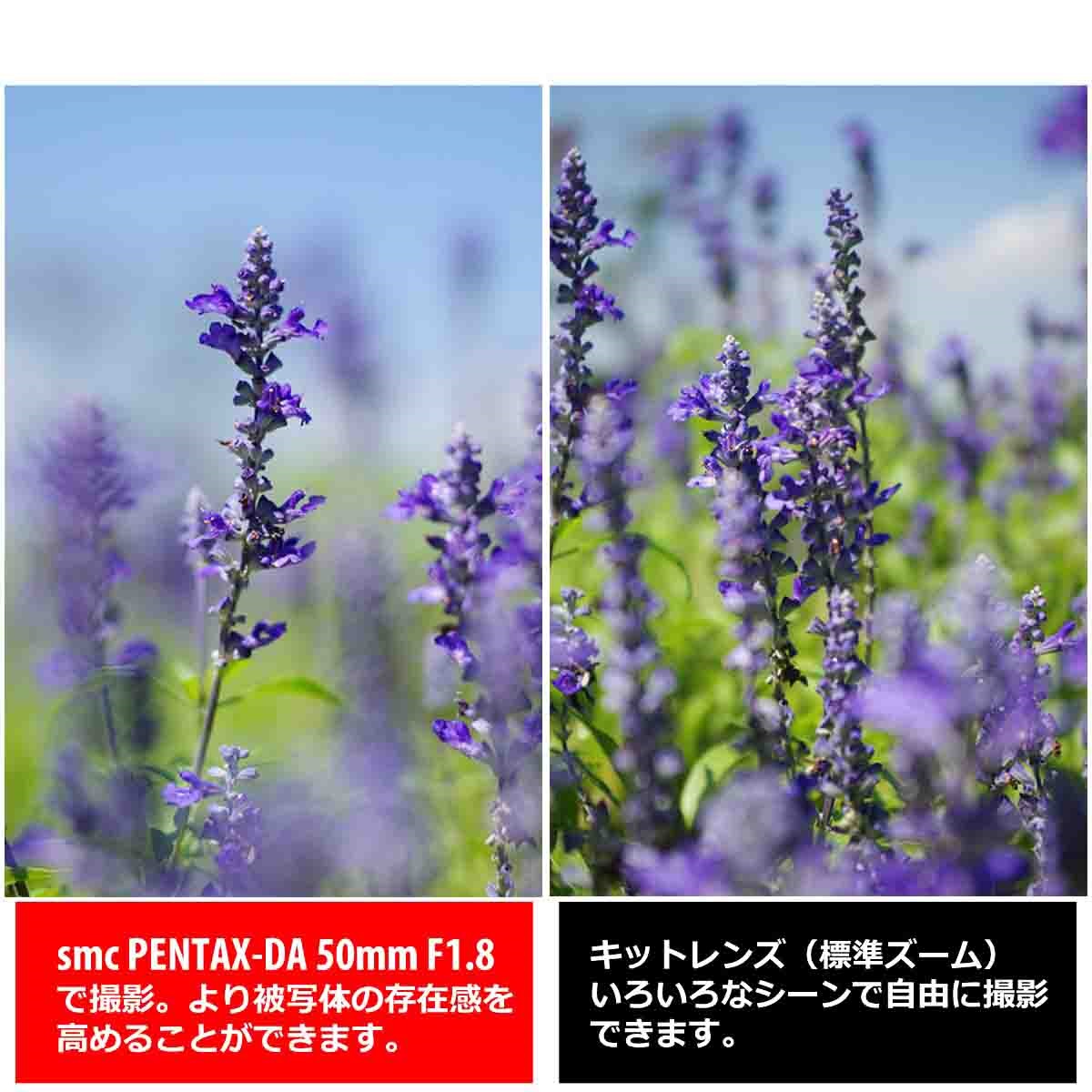 smc PENTAX-DA 50mmF1.8