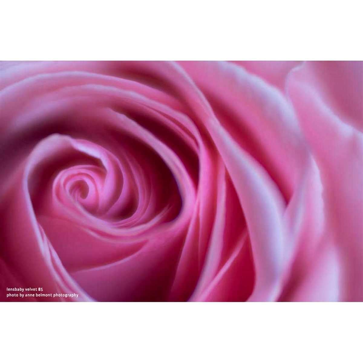 LENSBABY Velvet 85mm F1.8