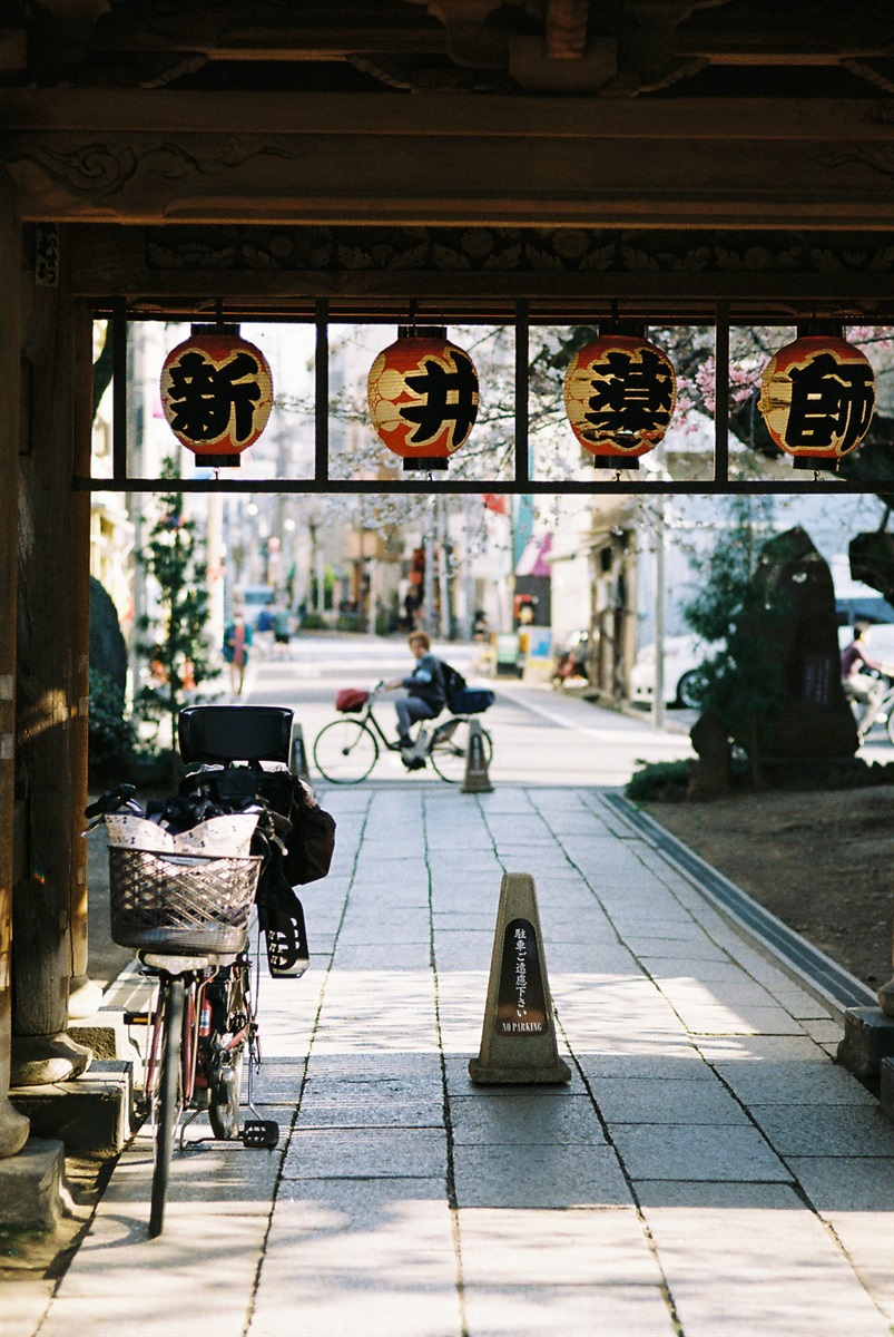 【BLACK FRIDAY 2025 11/27まで】カラーネガフィルム｜Kodak ColorPlus 200 36枚撮り 5本セット【期限切迫のため超特価！】