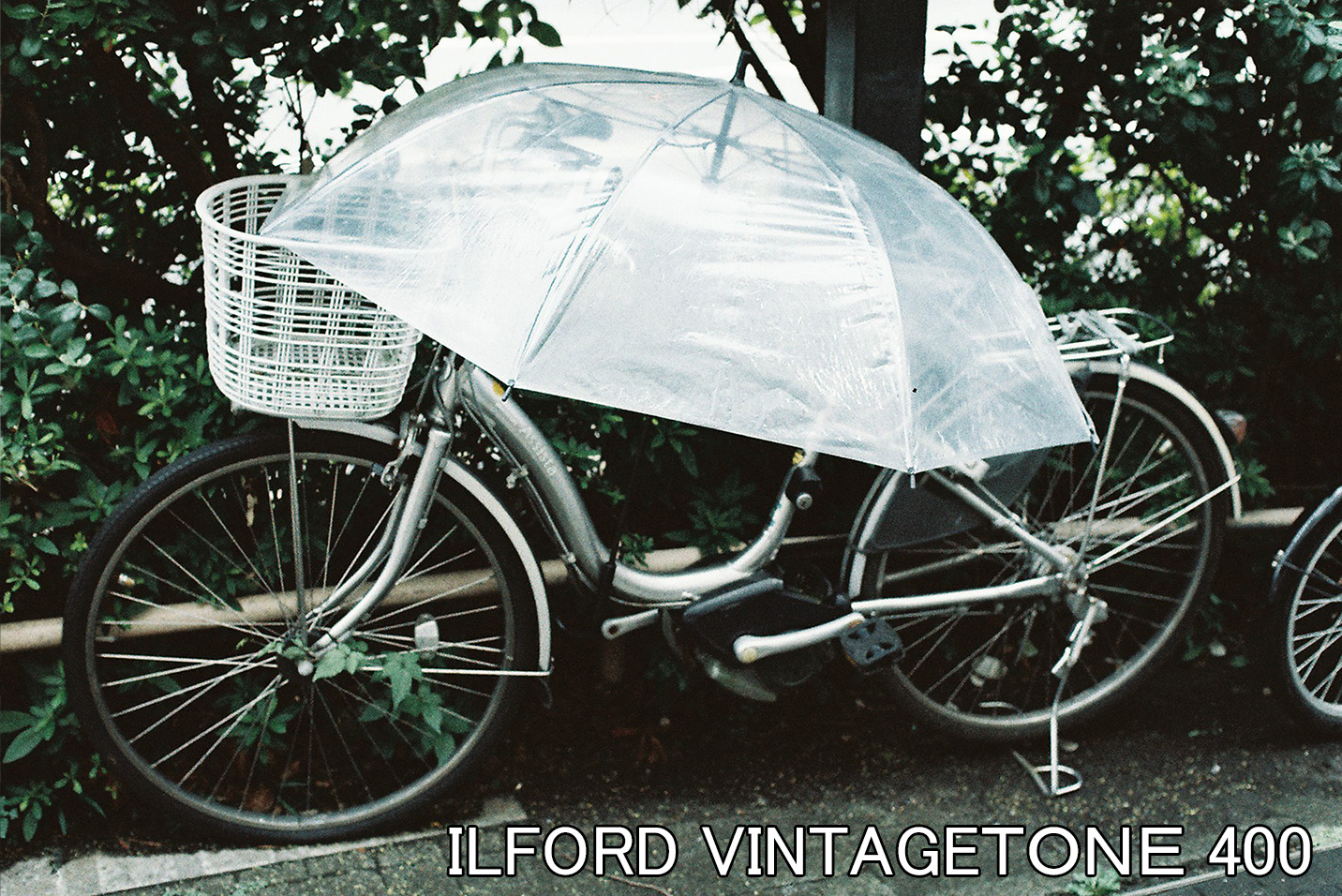 【BLACK FRIDAY 2025 11/27まで】ILFORD 2本セット｜VINTAGE TONE 400 PLUS ＆ XP2 SUPER 400 36枚撮り